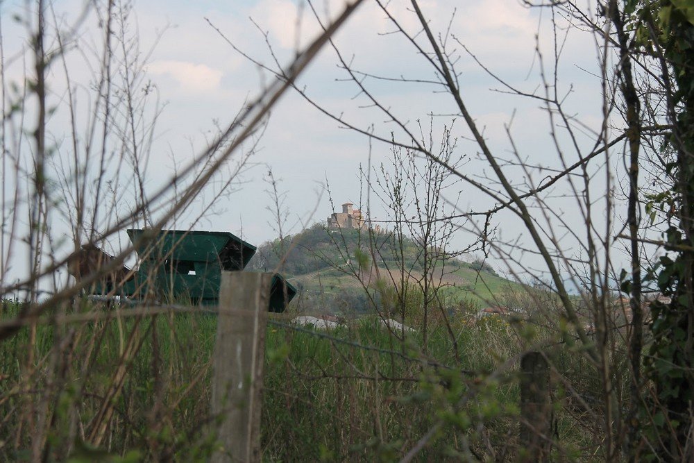 Réhabilitation d'un chemin rural à St-Romain-le-Puy