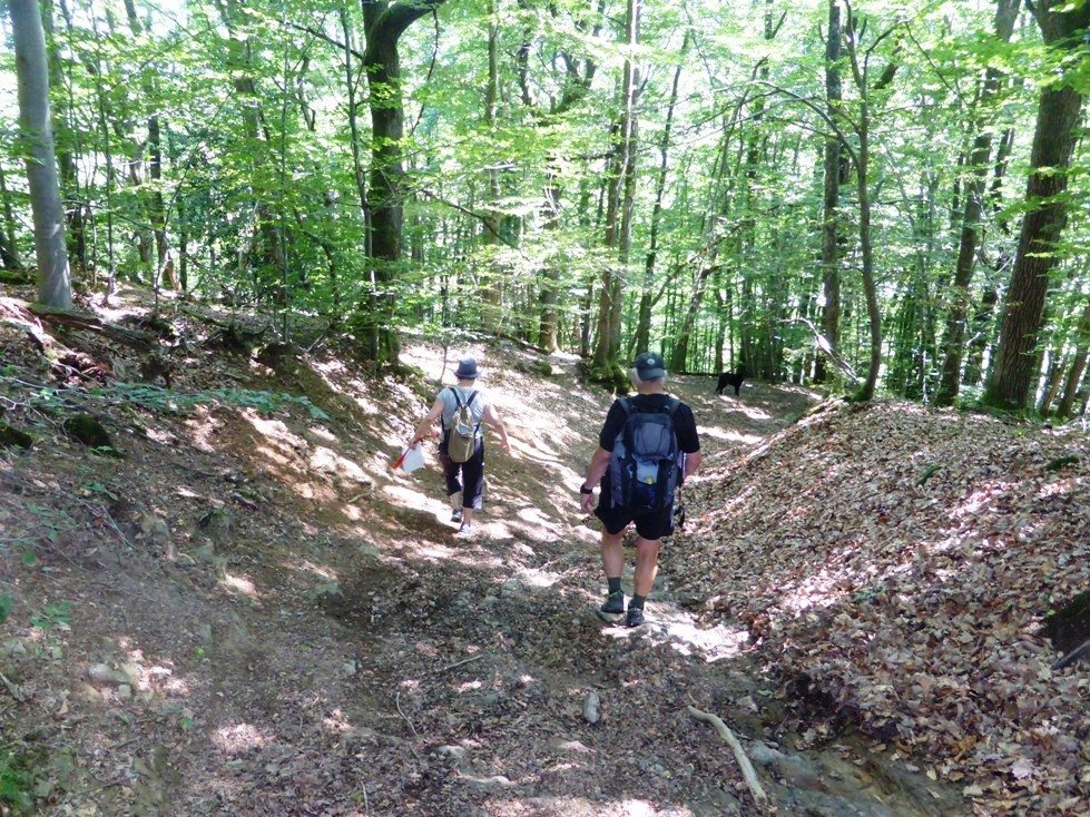 Photos : Frédéric Béal, Anne Viricel et St-Etienne Métropole 