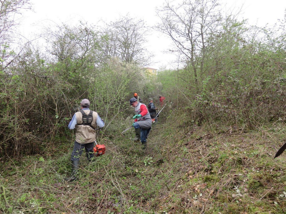 Réhabilitation d'un chemin rural à St-Romain-le-Puy