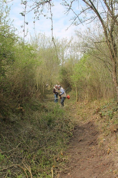 Réhabilitation d'un chemin rural à St-Romain-le-Puy