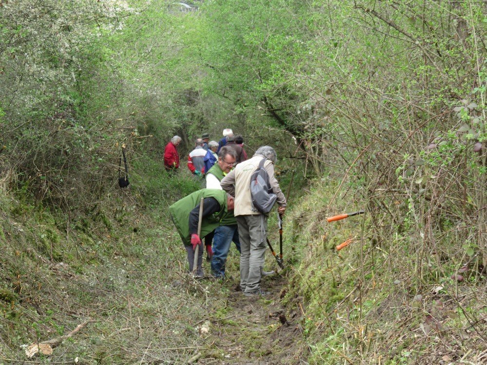 Réhabilitation d'un chemin rural à St-Romain-le-Puy