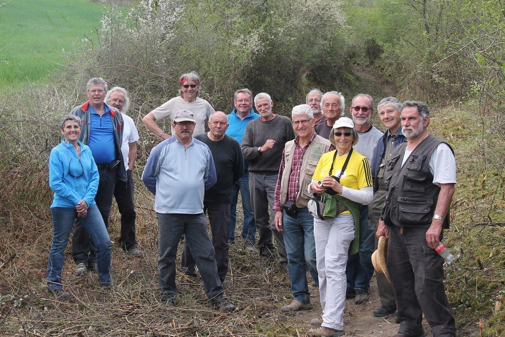 Réhabilitation d'un chemin rural à St-Romain-le-Puy