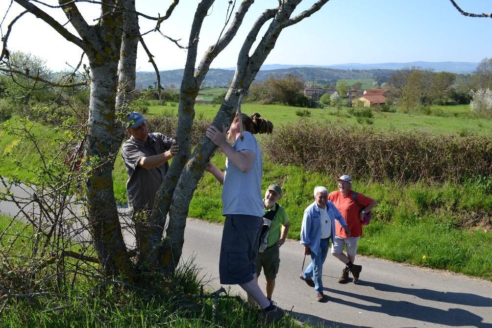 Photos : les Enfants des Etangs