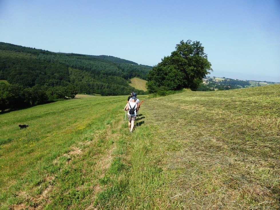 Photos : Frédéric Béal, Anne Viricel et St-Etienne Métropole 