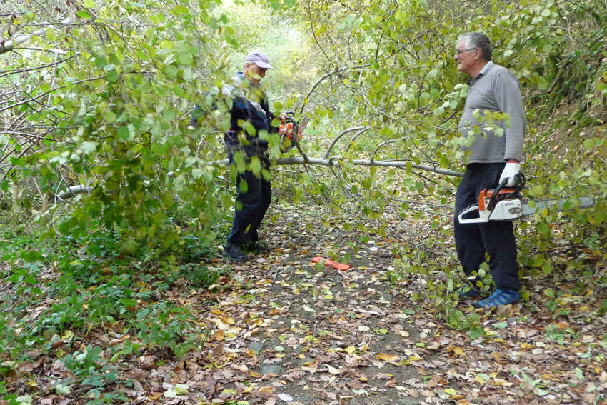 Branches cassées : beaucoup de chemins à dégager