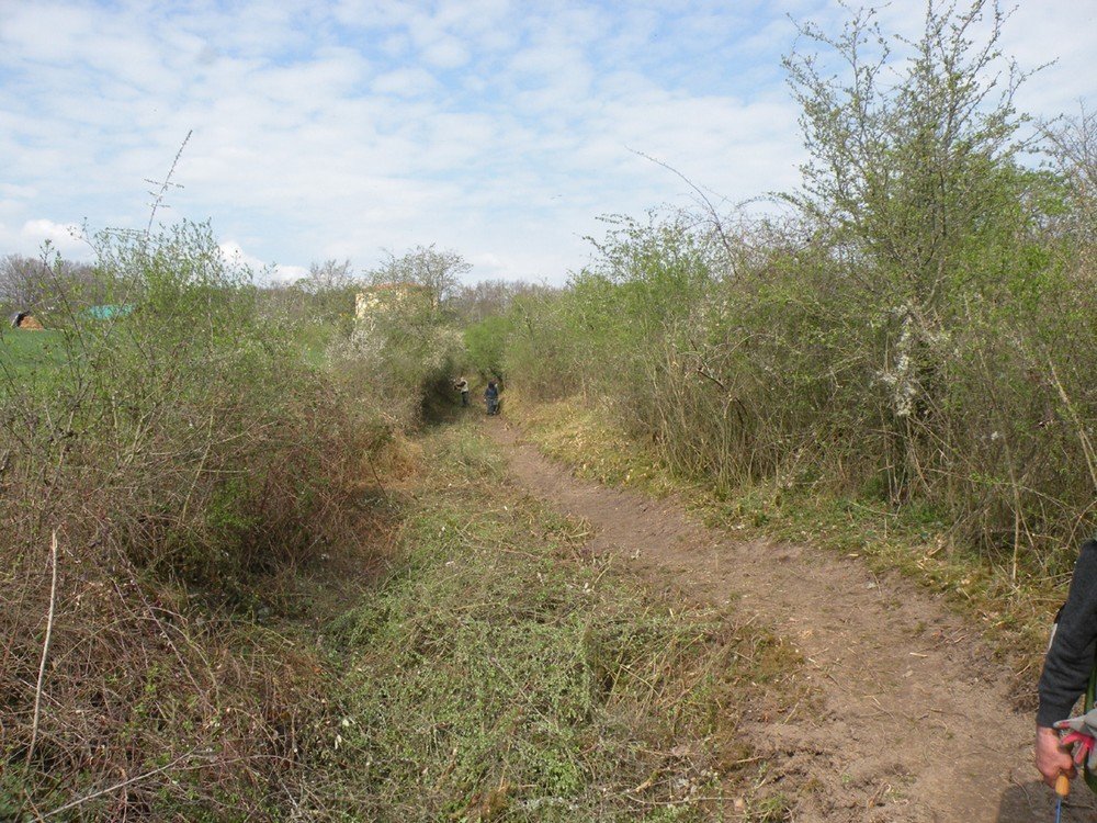 Réhabilitation d'un chemin rural à St-Romain-le-Puy