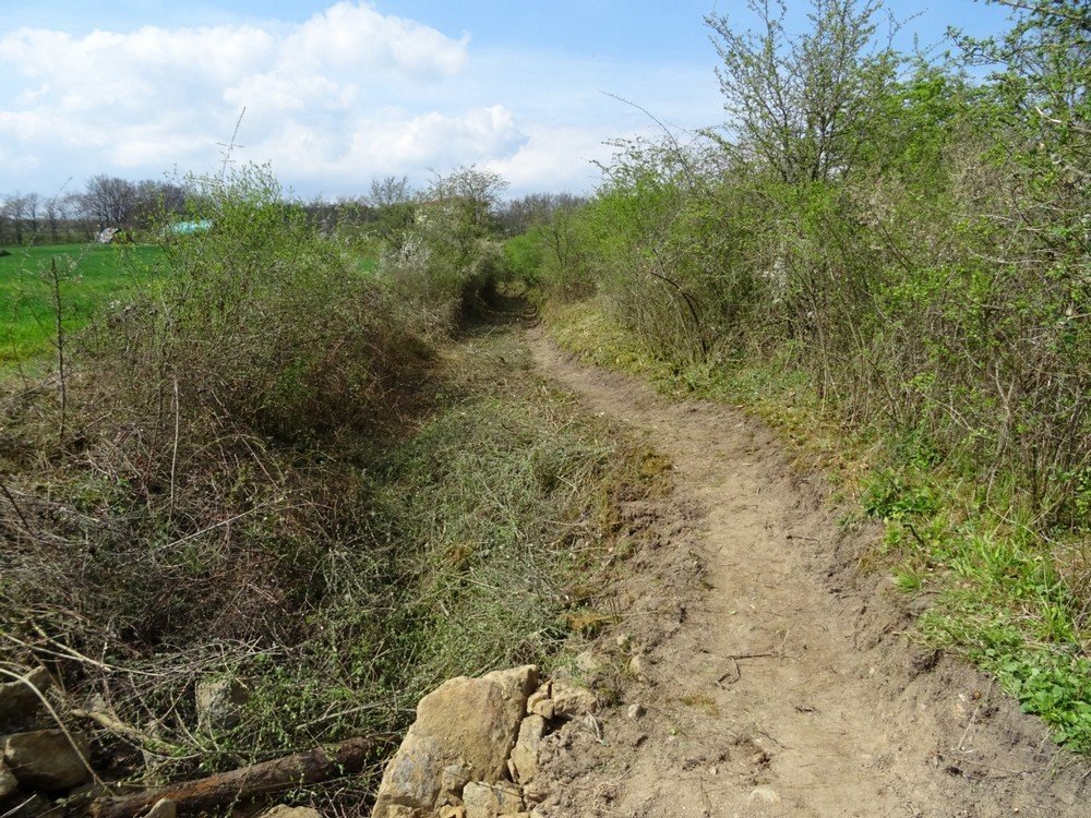 Réhabilitation d'un chemin rural à St-Romain-le-Puy